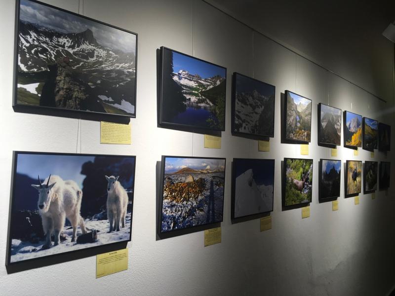 NabíPohled do Malé galerie u studovny s vystavenými fotografiemi Renaty Collard ze Skalistých hor (zdroj: archiv Knihovny Pedagogické fakulty Univerzity Karlovy)